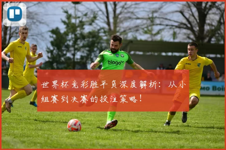 世界杯竞彩胜平负深度解析：从小组赛到决赛的投注策略！