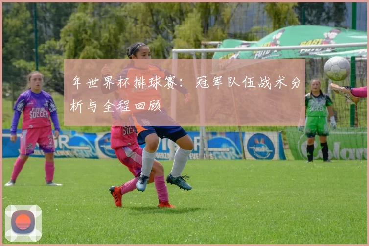 年世界杯排球赛:冠军队伍战术分析与全程回顾