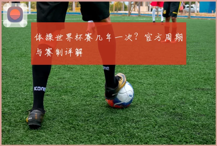 体操世界杯赛几年一次？官方周期与赛制详解