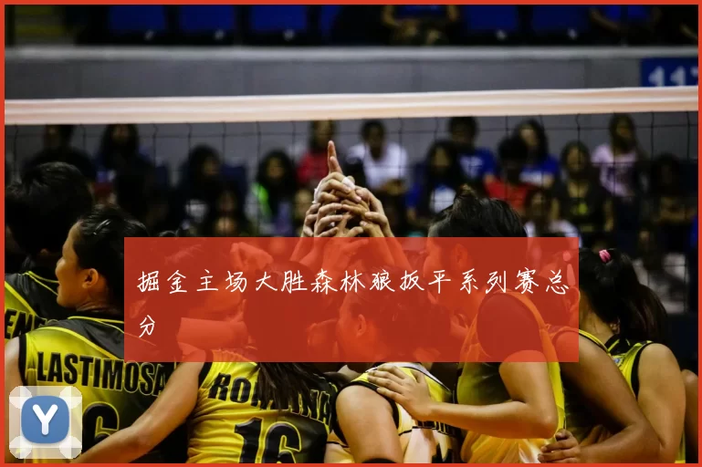 掘金主场大胜森林狼扳平系列赛总分