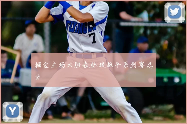 掘金主场大胜森林狼扳平系列赛总分