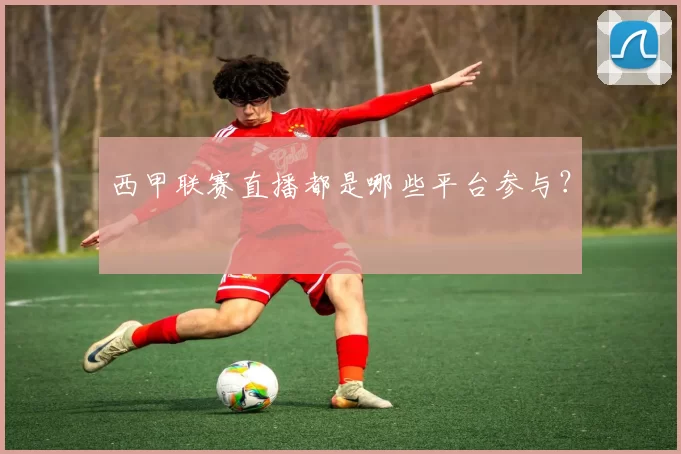 西甲联赛直播都是哪些平台参与?