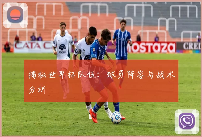 揭秘世界杯队伍:球员阵容与战术分析