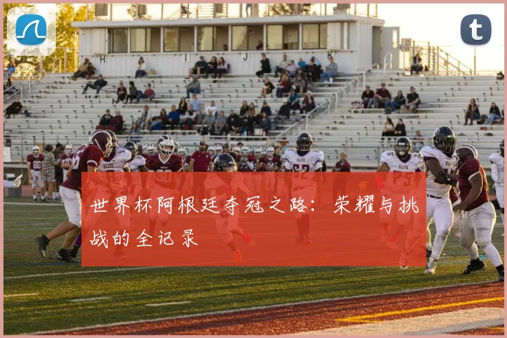世界杯阿根廷夺冠之路：荣耀与挑战的全记录