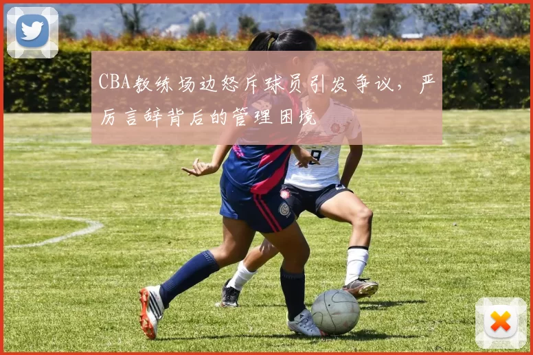CBA教练场边怒斥球员引发争议，严厉言辞背后的管理困境