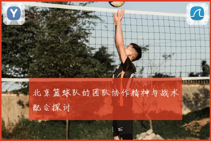 北京篮球队的团队协作精神与战术配合探讨