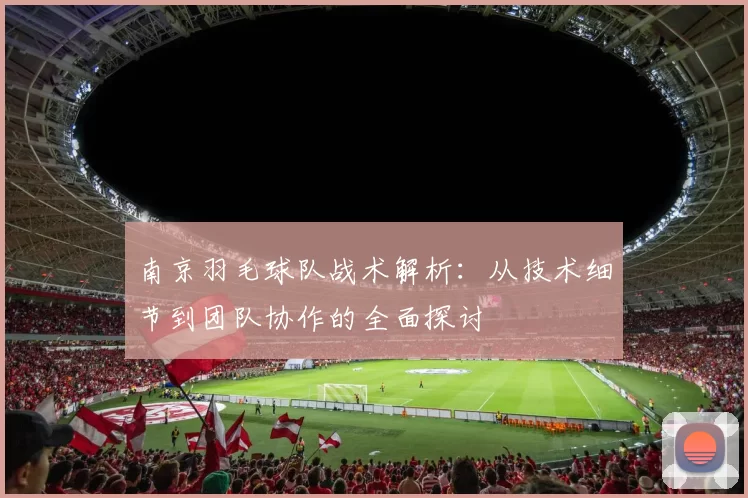 南京羽毛球队战术解析：从技术细节到团队协作的全面探讨
