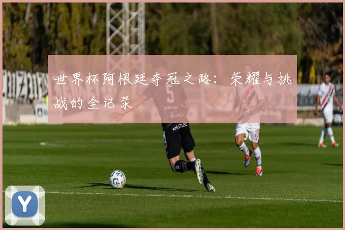 世界杯阿根廷夺冠之路：荣耀与挑战的全记录
