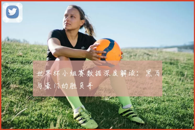世界杯小组赛数据深度解读:黑马与豪门的胜负手