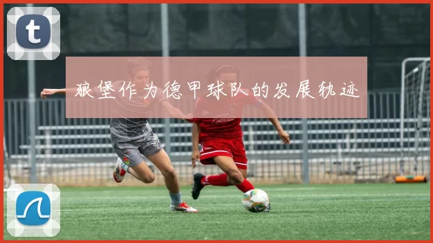 狼堡作为德甲球队的发展轨迹