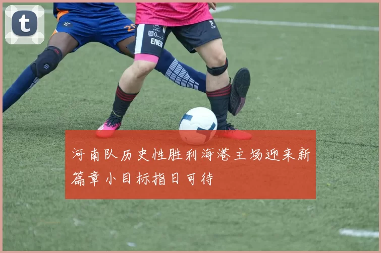 河南队历史性胜利海港主场迎来新篇章小目标指日可待