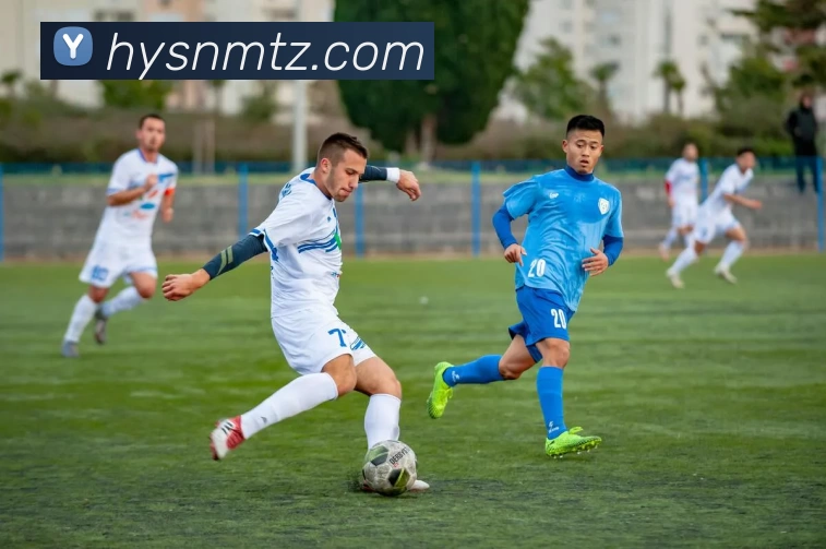 乐鱼体育APP 高清赛事图